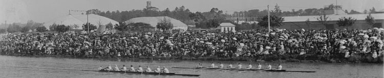 australian henley regatta history